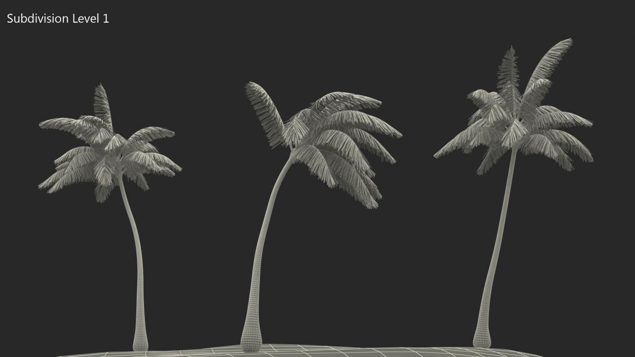 Small Island in Ocean with Palms 3D