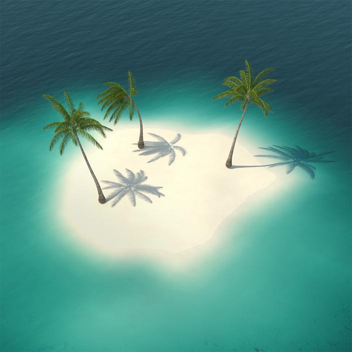 Small Island in Ocean with Palms 3D