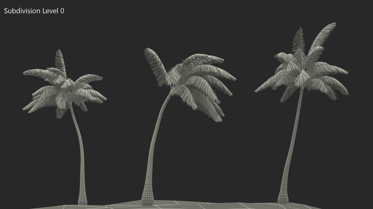 Small Island in Ocean with Palms 3D