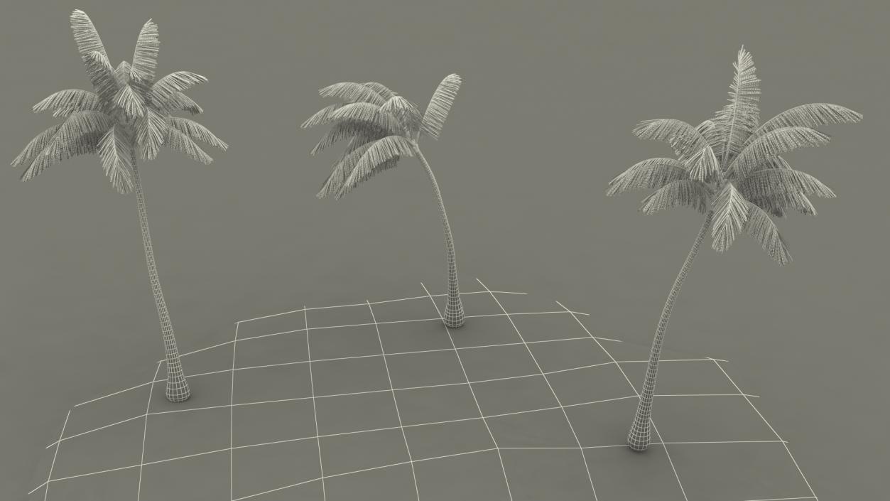 Small Island in Ocean with Palms 3D