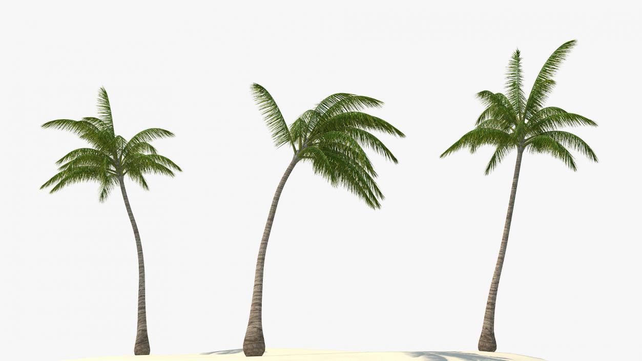 Small Island in Ocean with Palms 3D