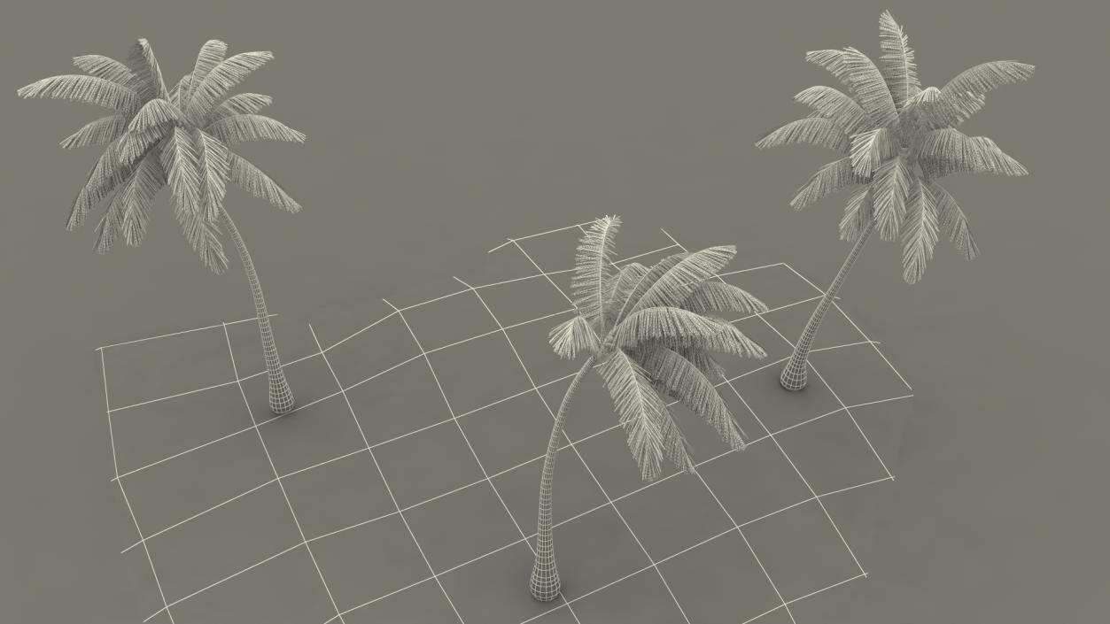 Small Island in Ocean with Palms 3D