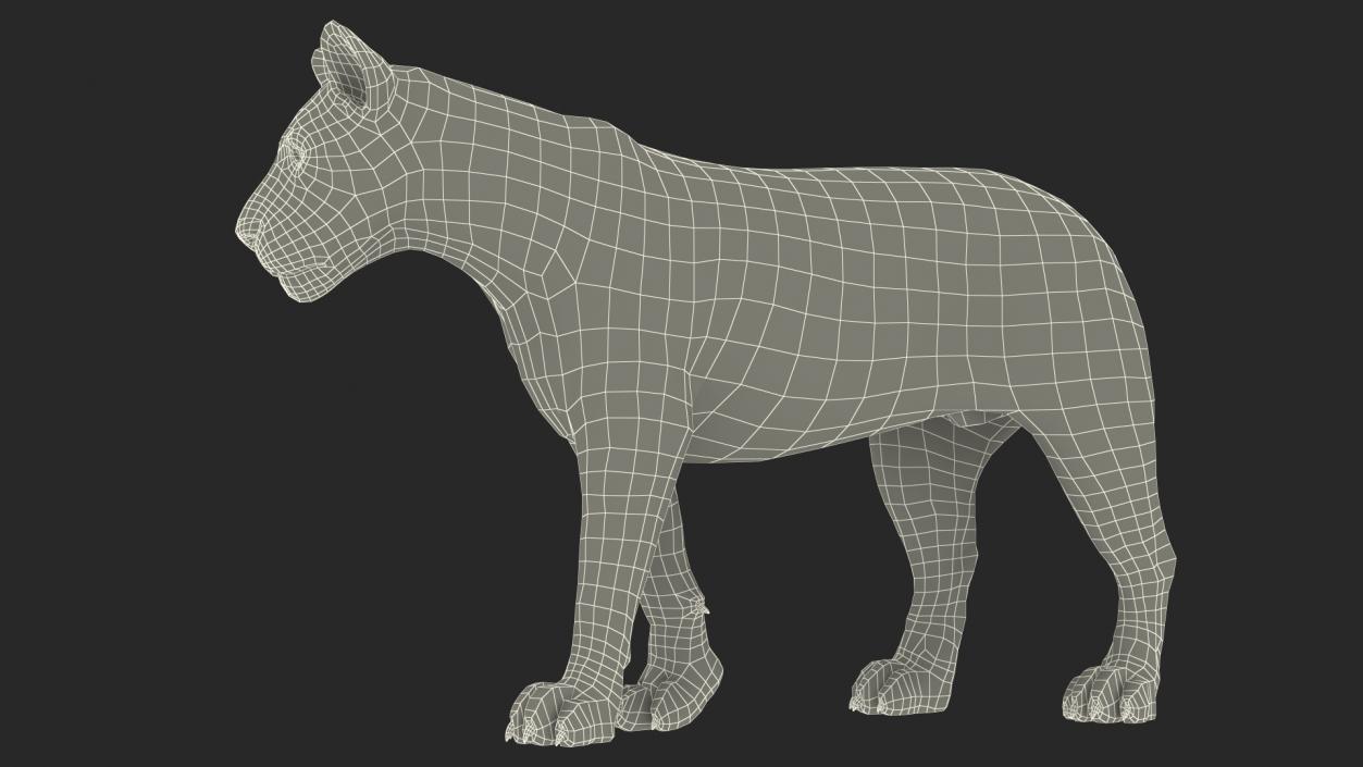 African Animals Collection 11 3D model