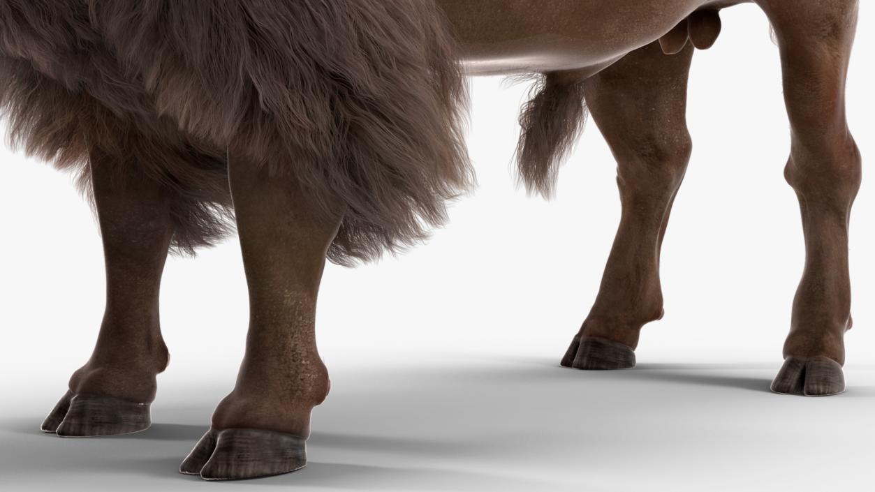 North American Bison with Fur 3D model