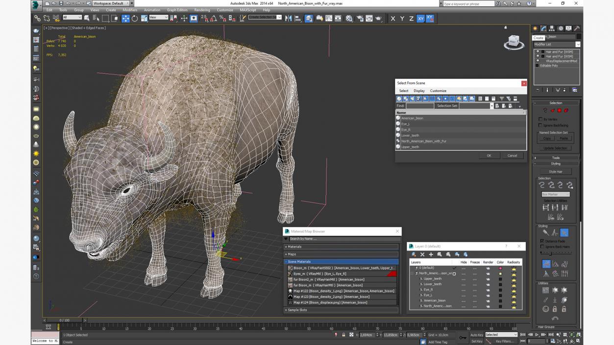 North American Bison with Fur 3D model