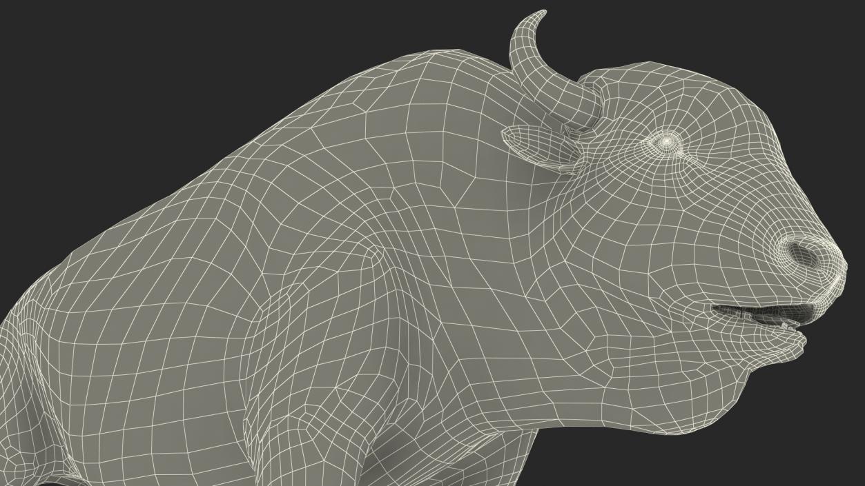 North American Bison with Fur 3D model