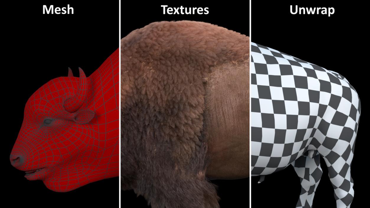 North American Bison with Fur 3D model