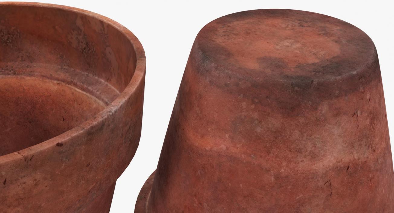 3D model Terracotta Plant Pot