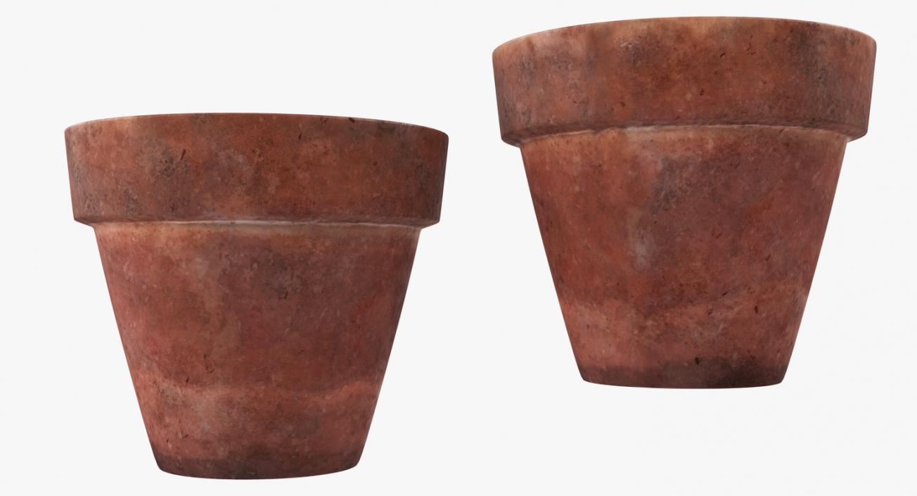 3D model Terracotta Plant Pot