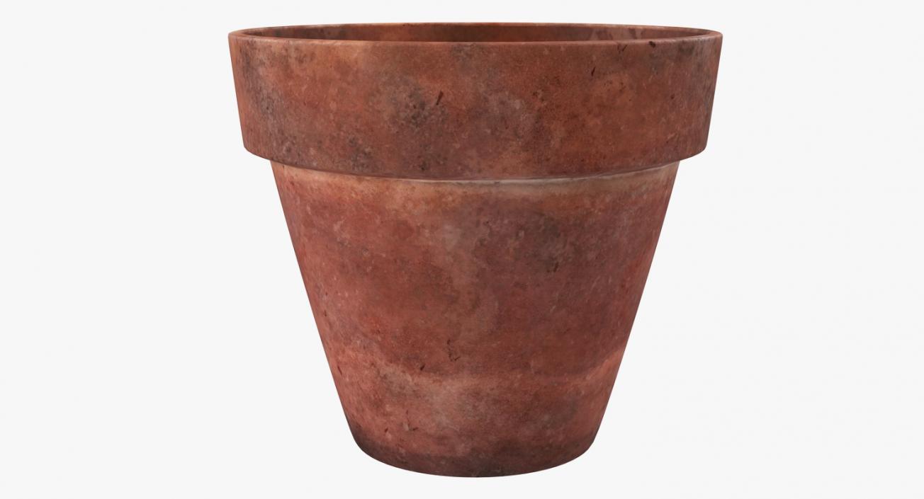 3D model Terracotta Plant Pot