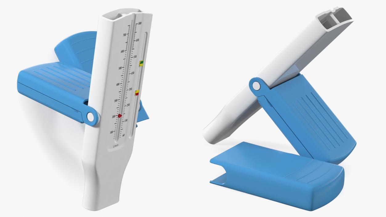 3D model Peak Flow Meter with Case