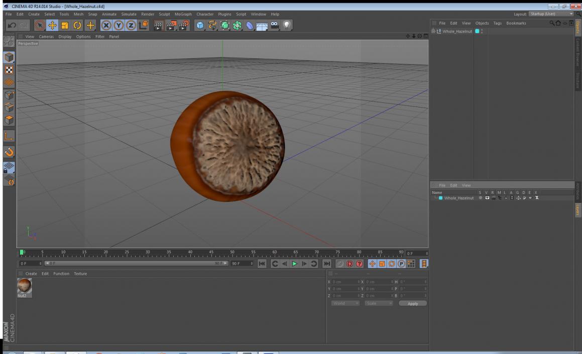 Whole Hazelnut 3D model
