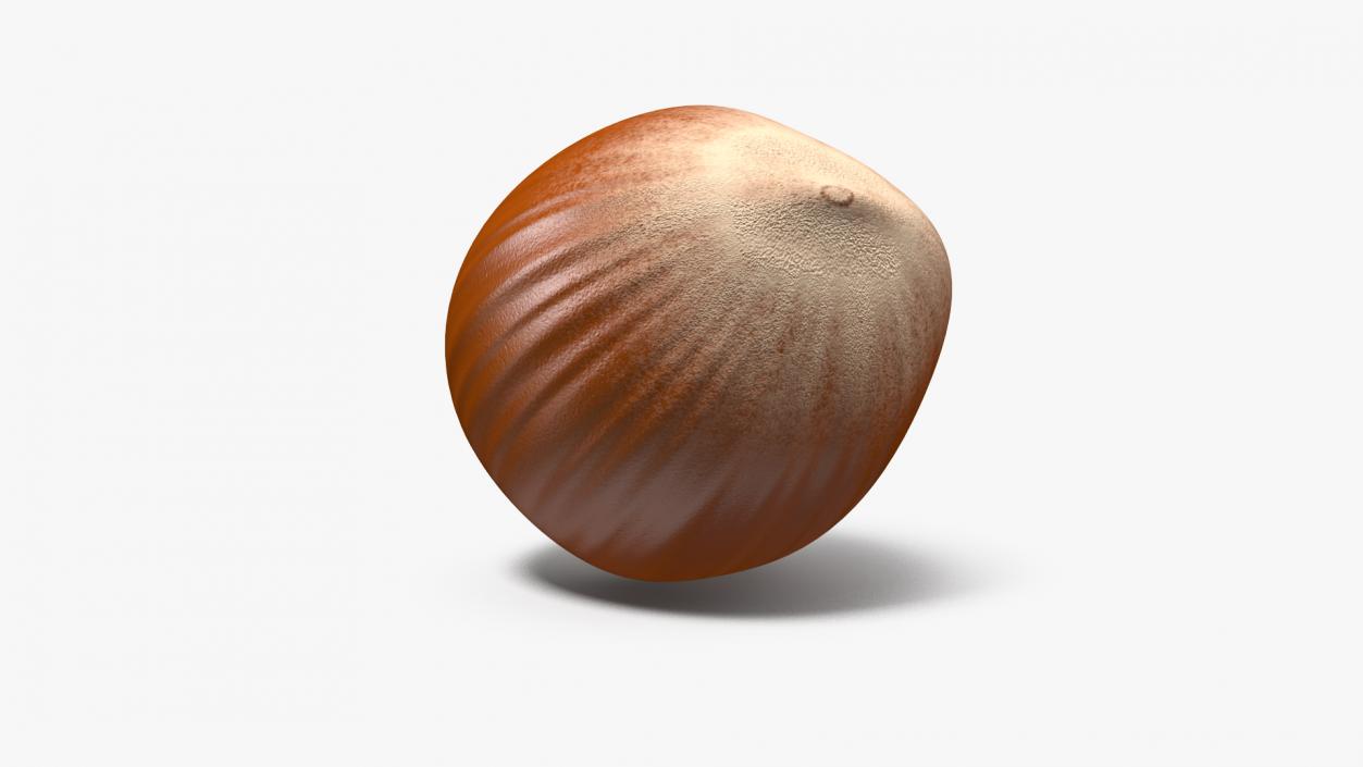 Whole Hazelnut 3D model