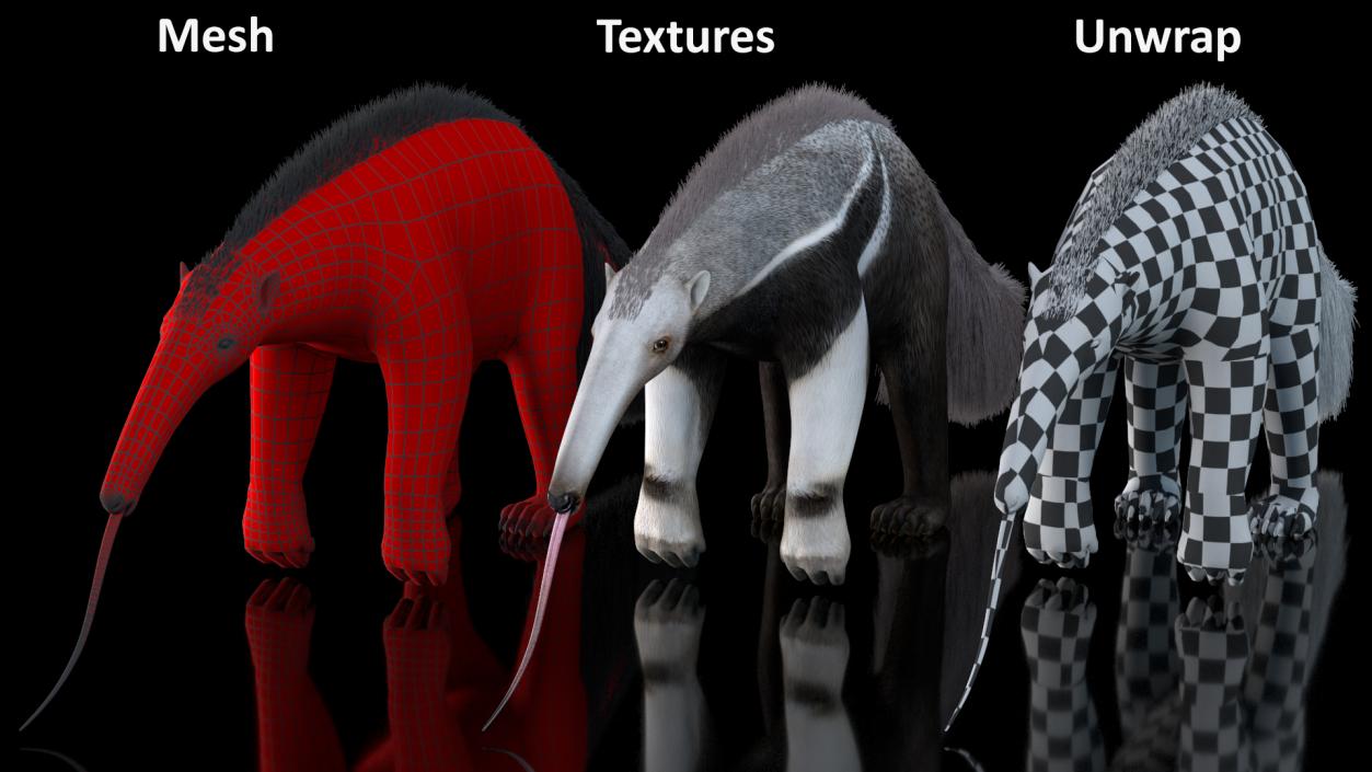 South America Mammals Collection 3D