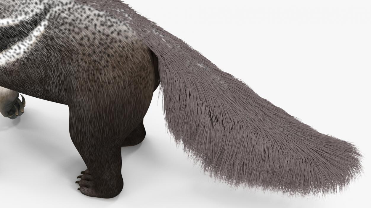 South America Mammals Collection 3D