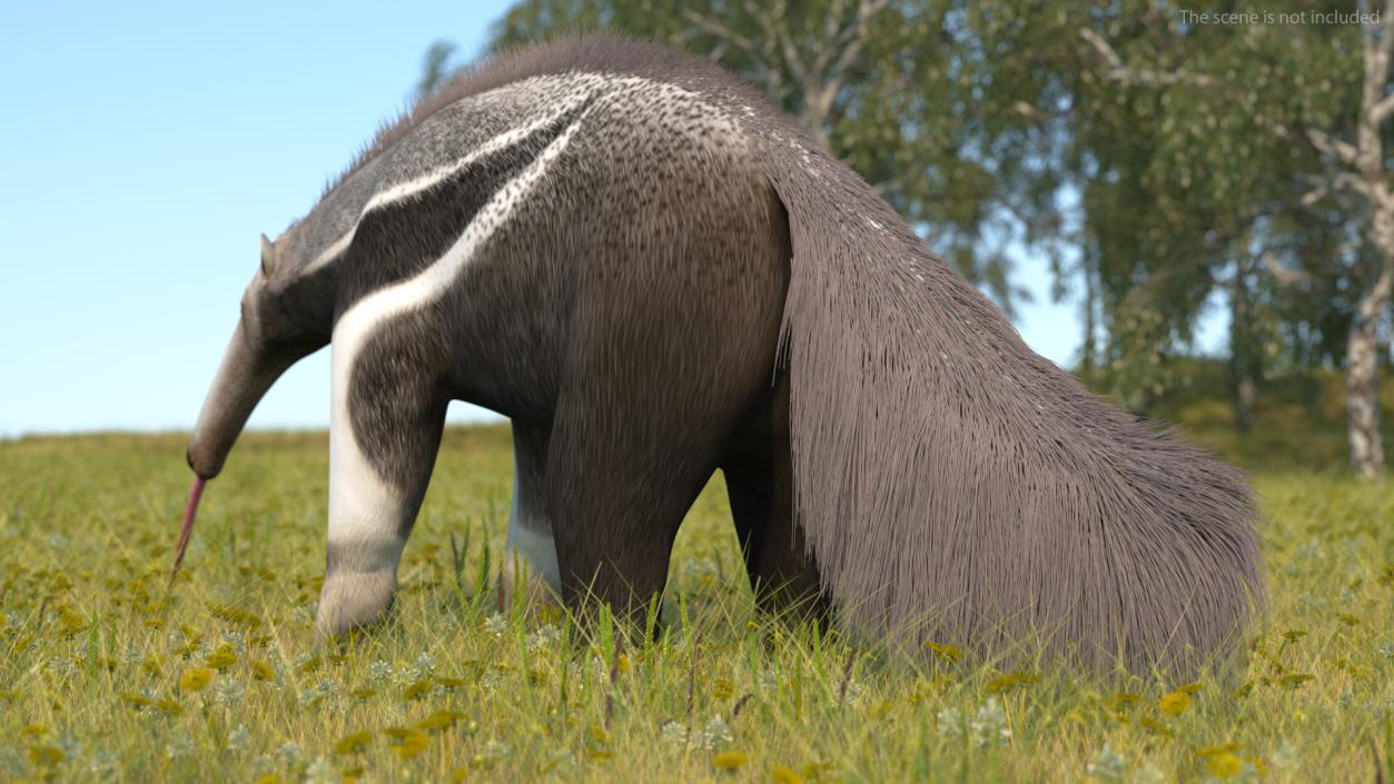 South America Mammals Collection 3D