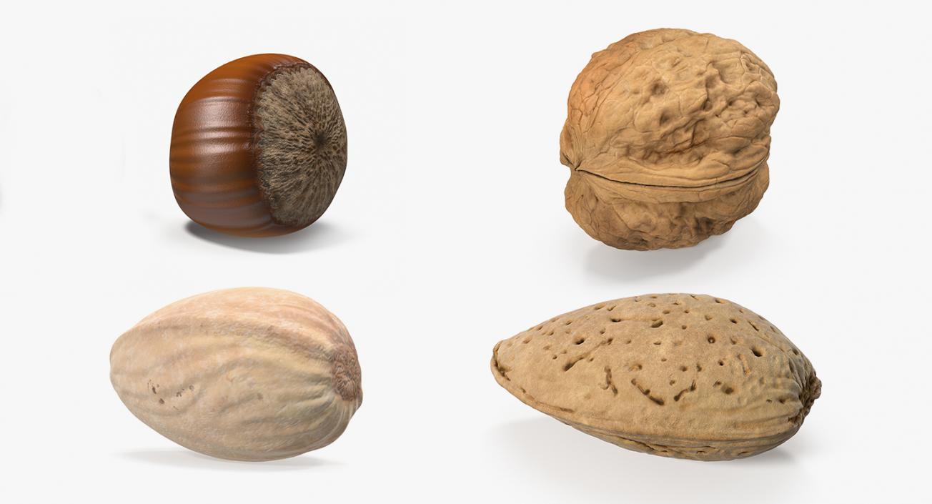 Nuts Collection 3 3D