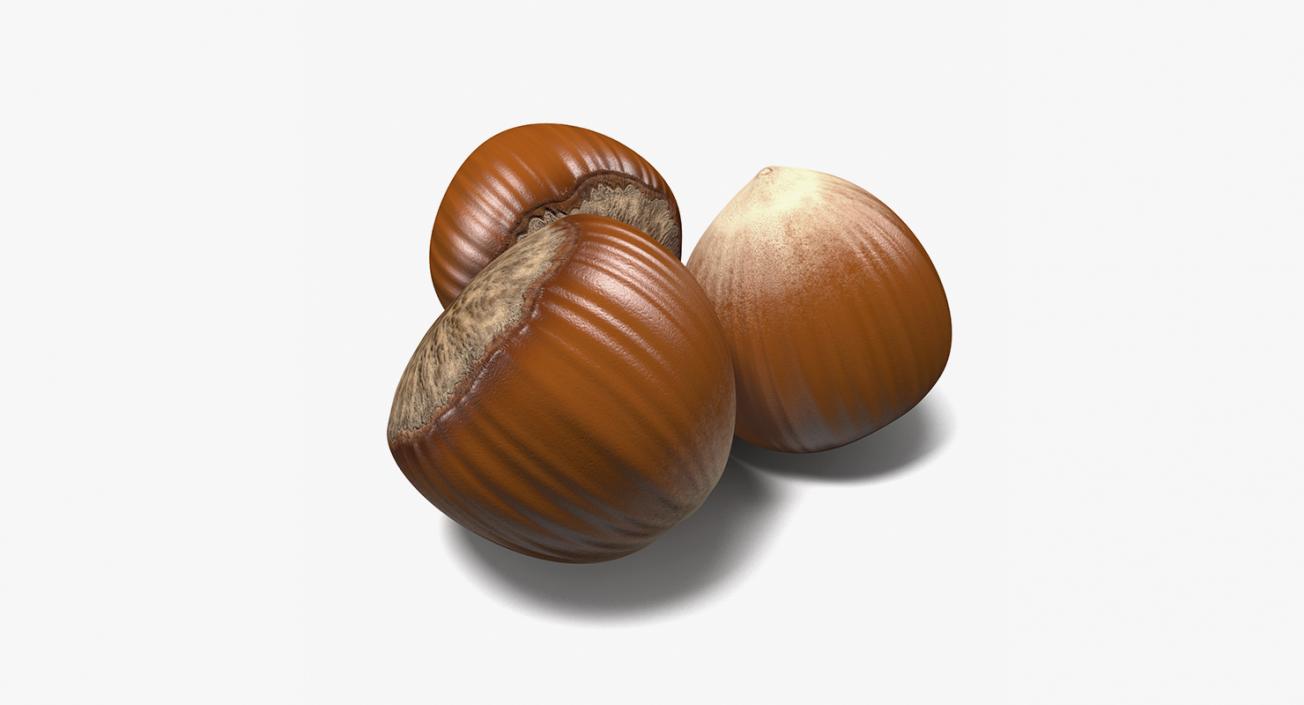 Nuts Collection 3 3D