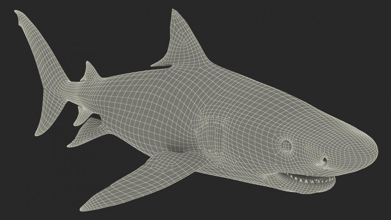 3D Tiger Shark 2 model