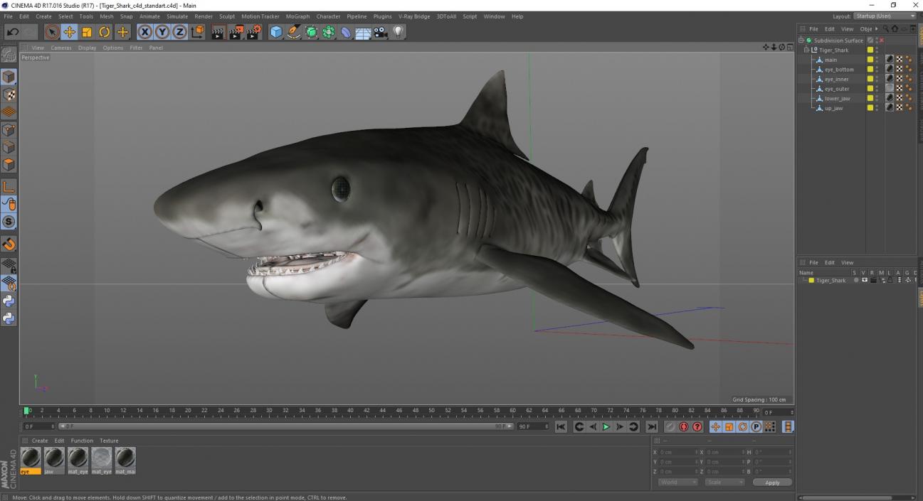 3D Tiger Shark 2 model