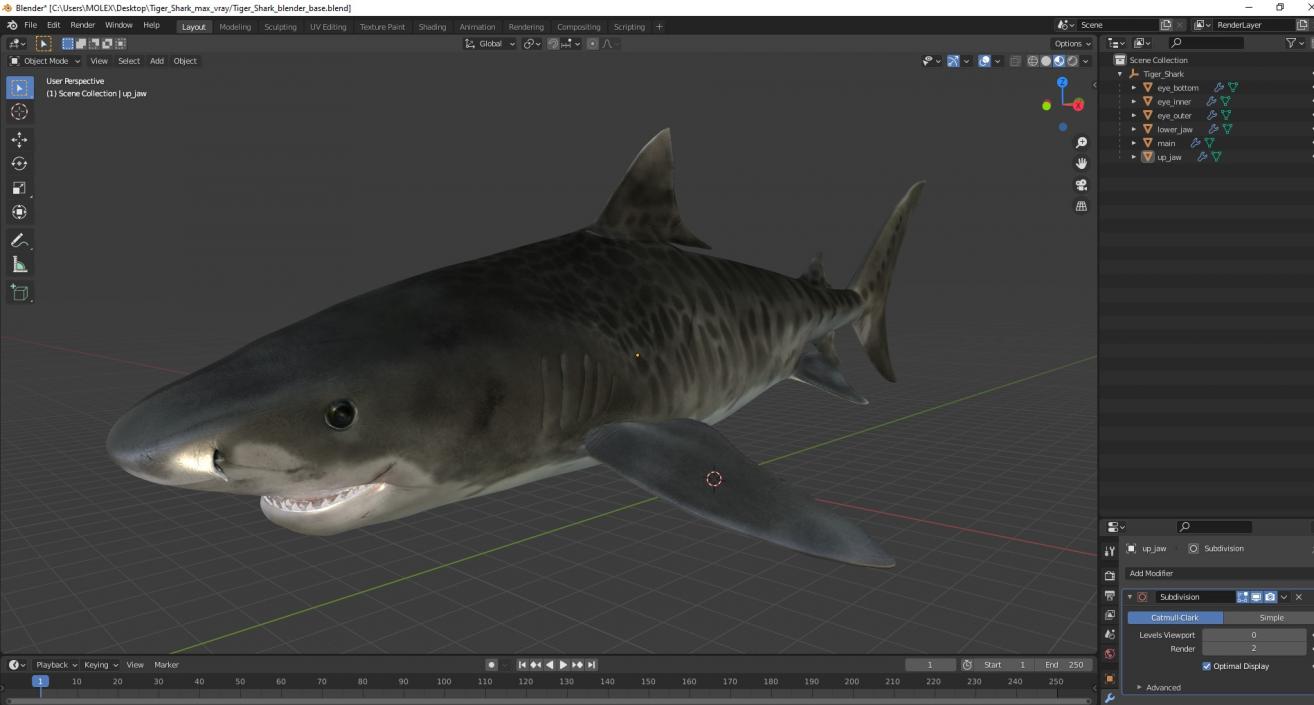 3D Tiger Shark 2 model