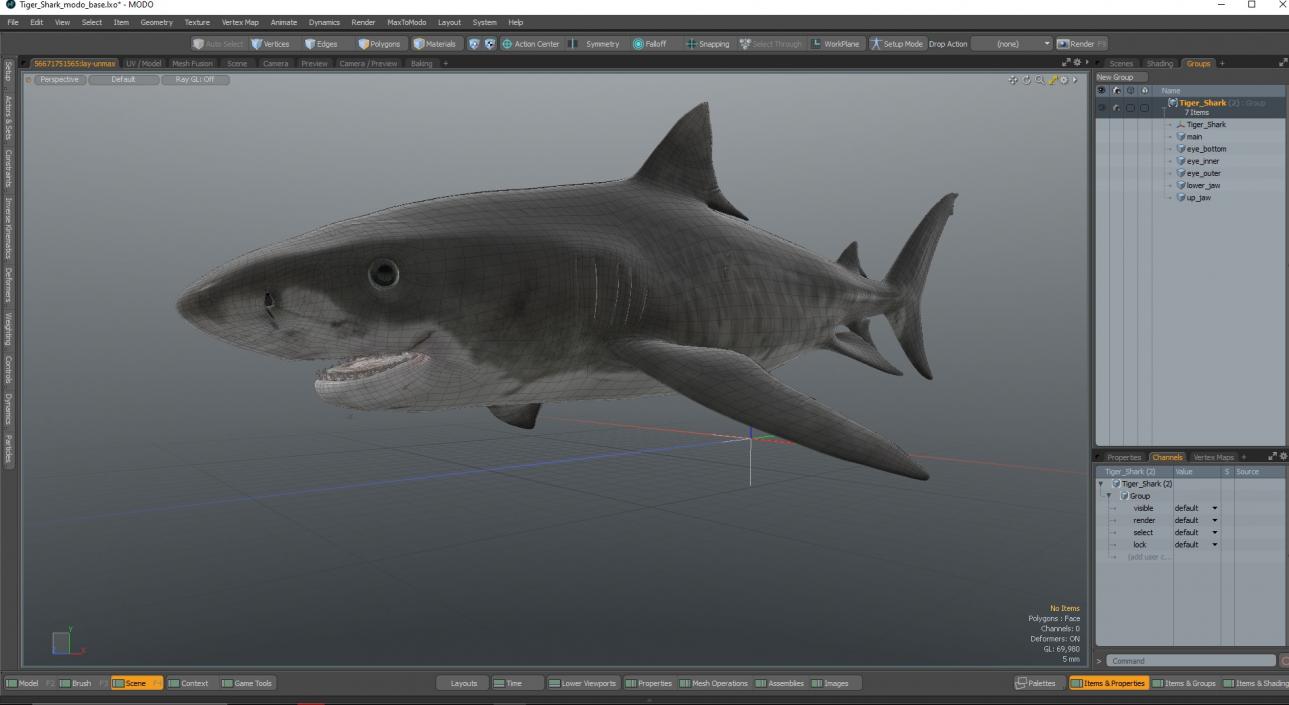 3D Tiger Shark 2 model