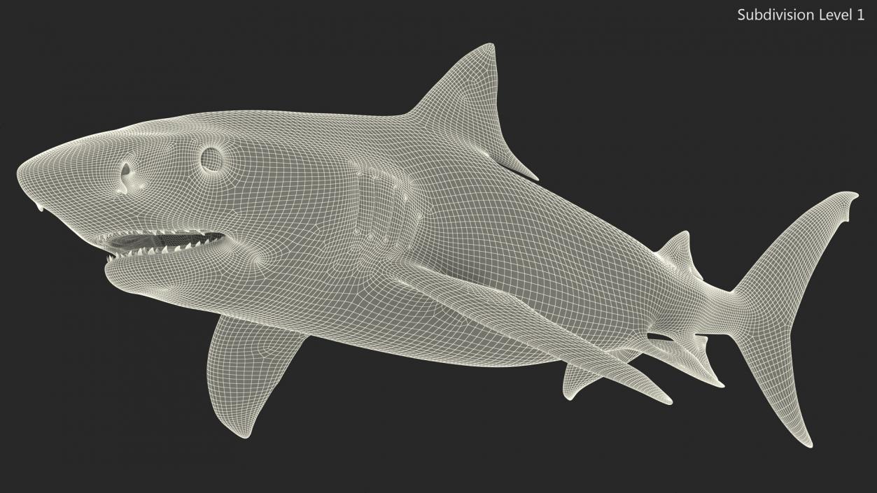 3D Tiger Shark 2 model