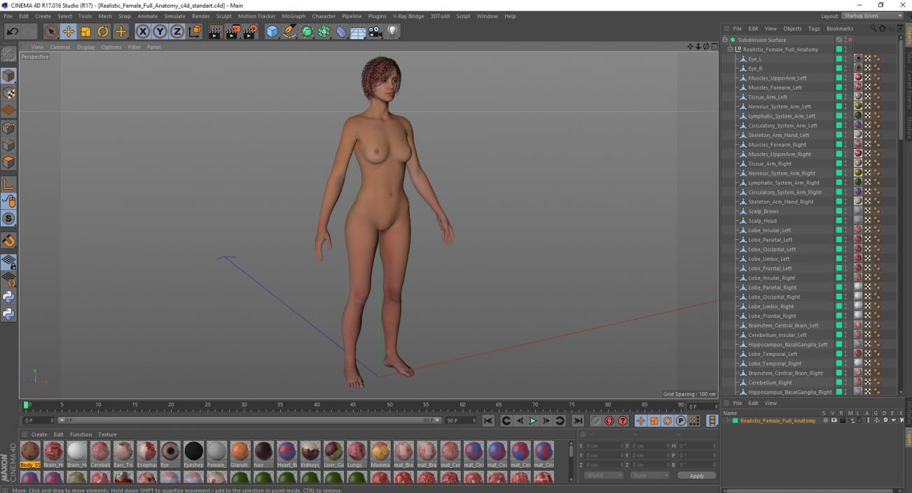 3D Realistic Female Full Anatomy 2