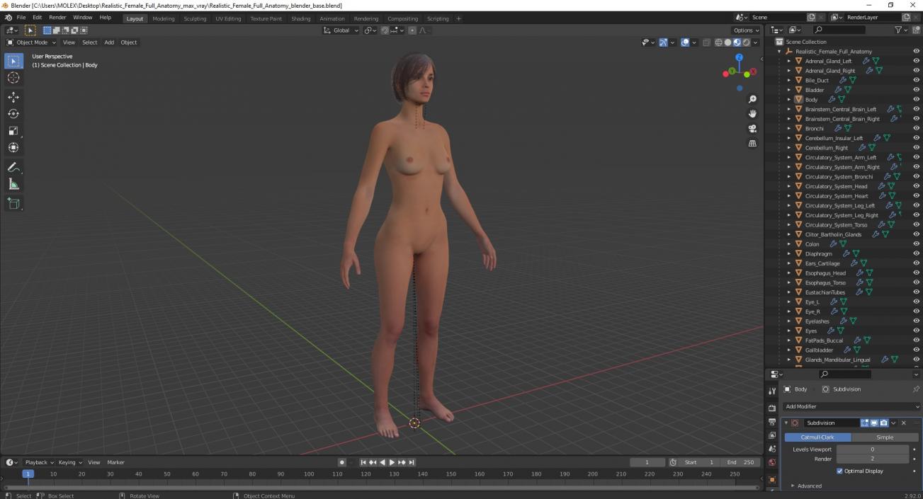 3D Realistic Female Full Anatomy 2