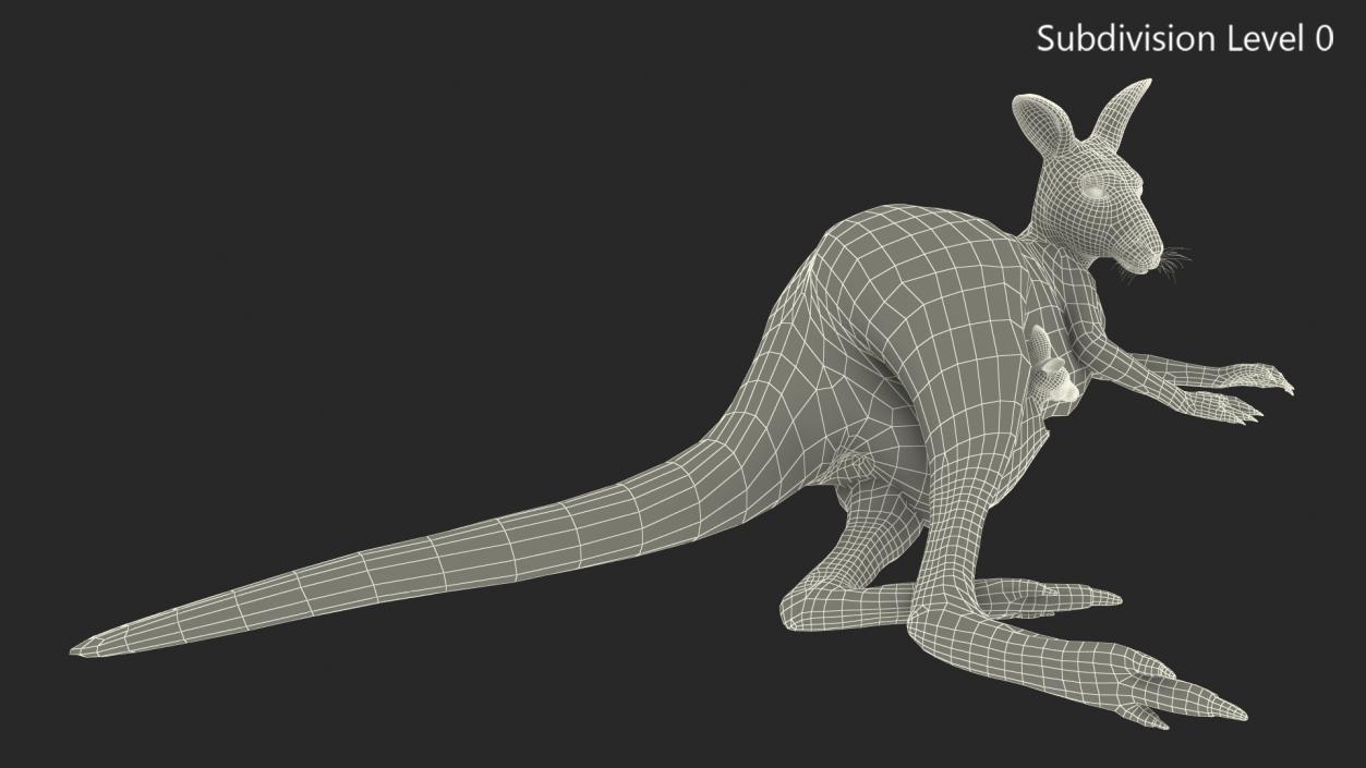 3D model Mother Kangaroo with Baby Lying Fur