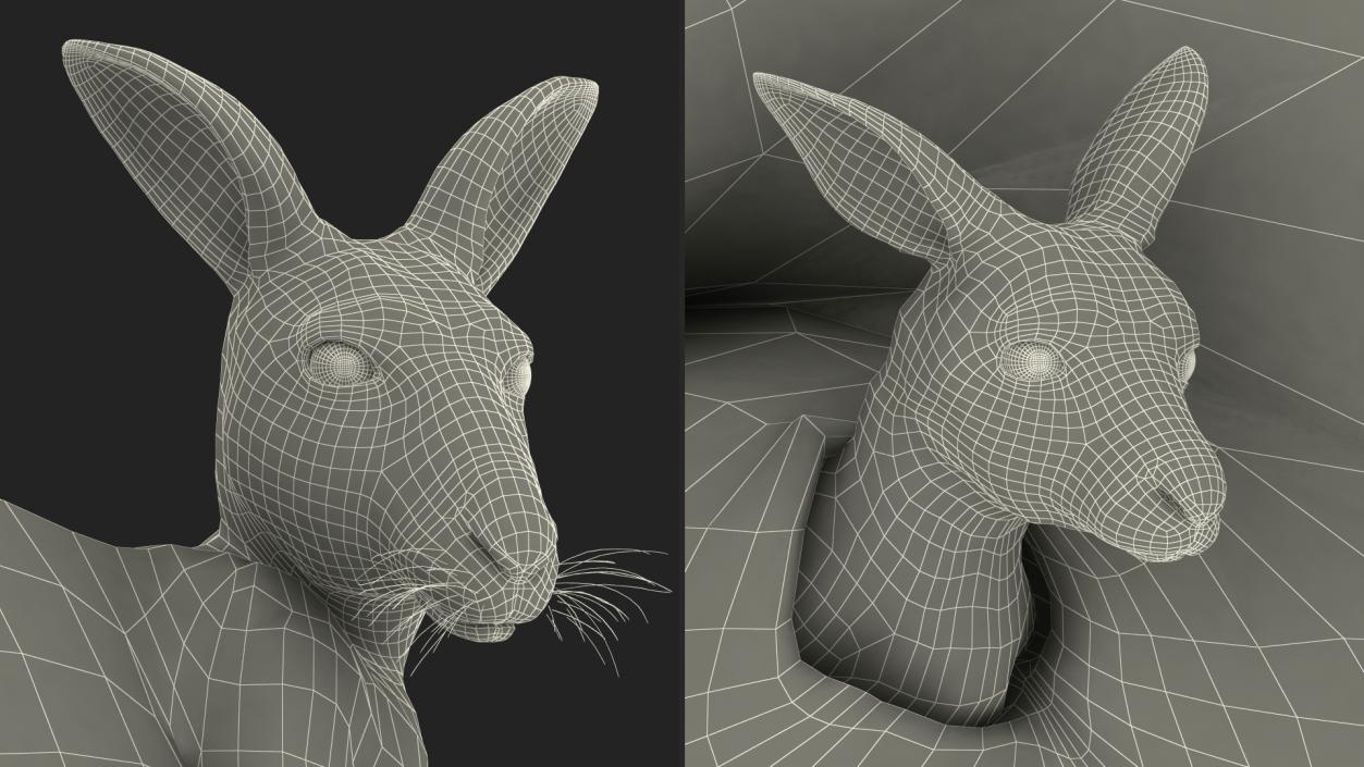 3D model Mother Kangaroo with Baby Lying Fur