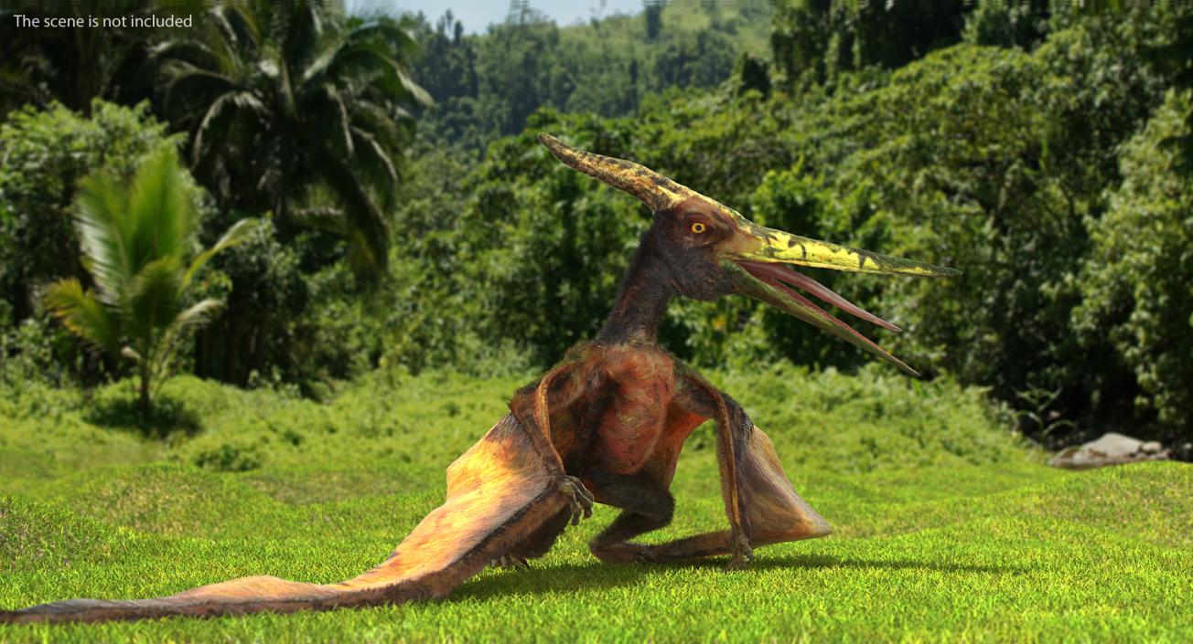 3D Pteranodon Flying Carnivorous Reptile Rigged with Fur model