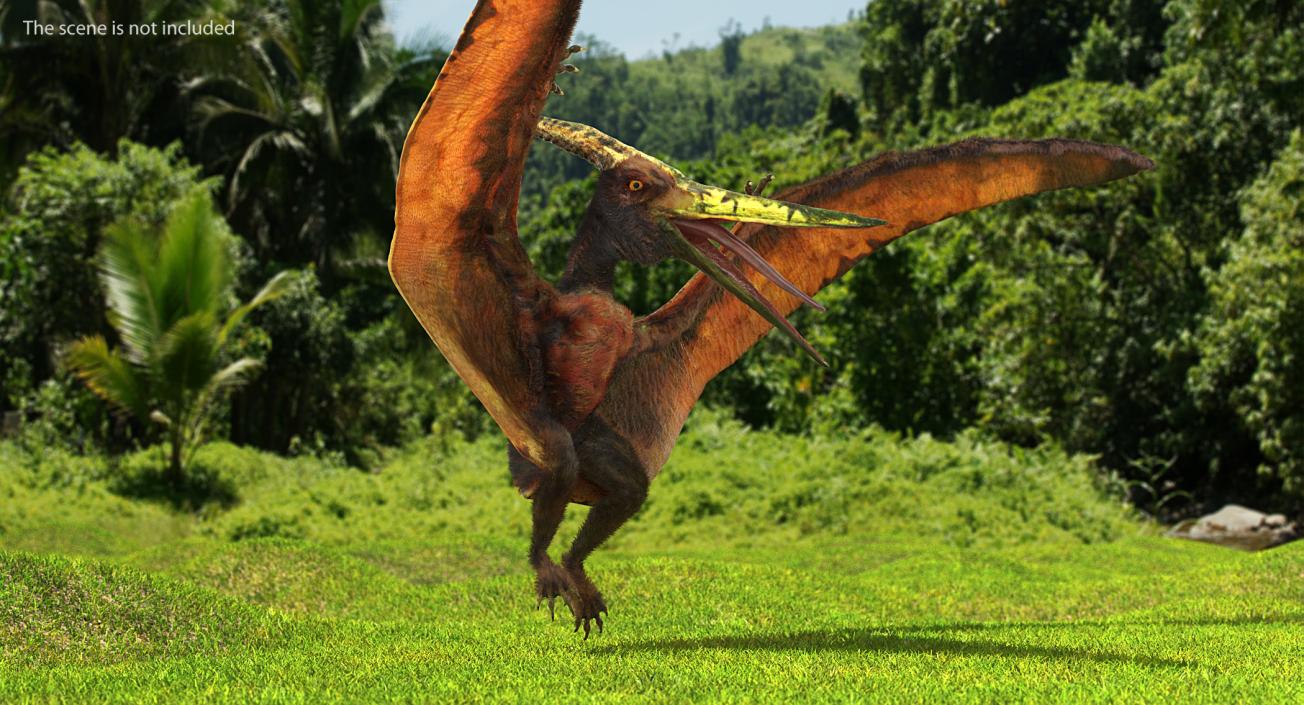 3D Pteranodon Flying Carnivorous Reptile Rigged with Fur model