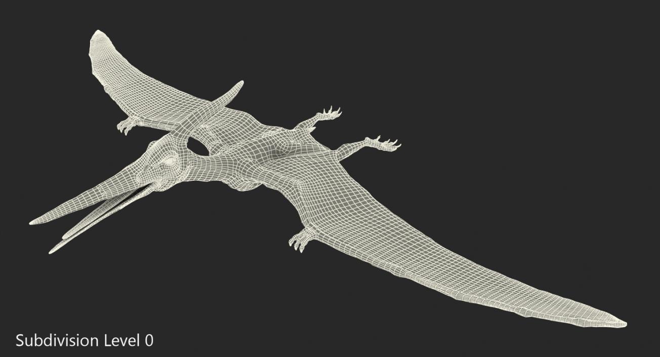 3D Pteranodon Flying Carnivorous Reptile Rigged with Fur model