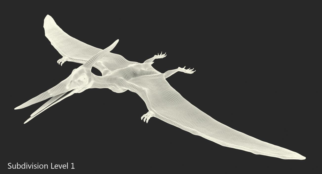 3D Pteranodon Flying Carnivorous Reptile Rigged with Fur model