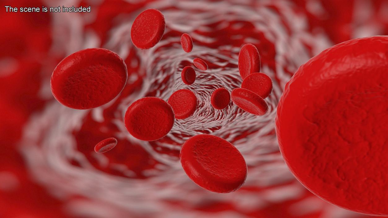 Blood Cells Collection 4 3D model