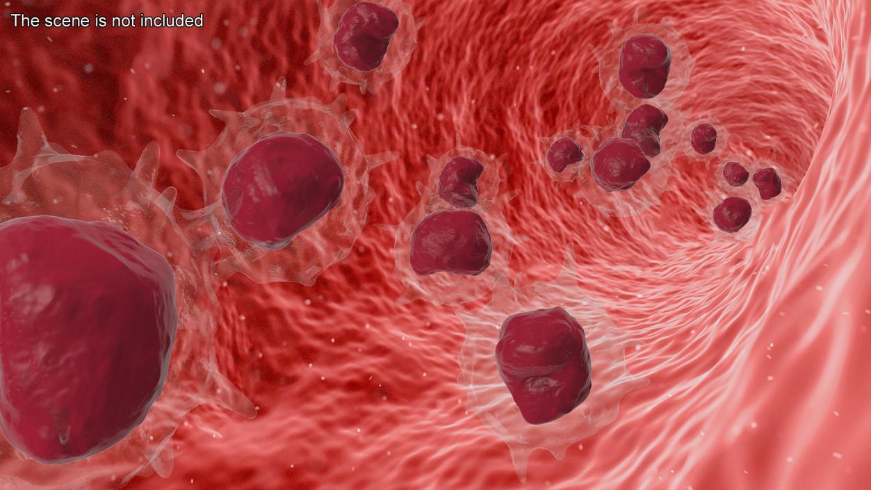 Blood Cells Collection 4 3D model