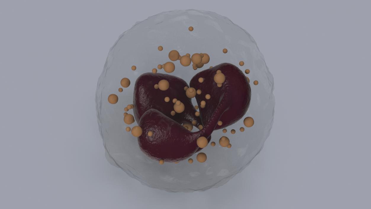 Blood Cells Collection 4 3D model