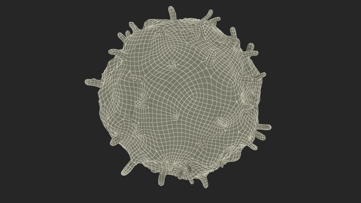 Blood Cells Collection 4 3D model