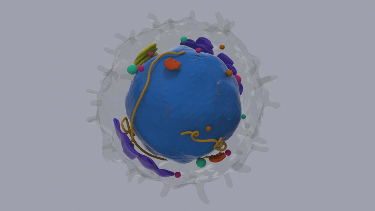 Blood Cells Collection 4 3D model