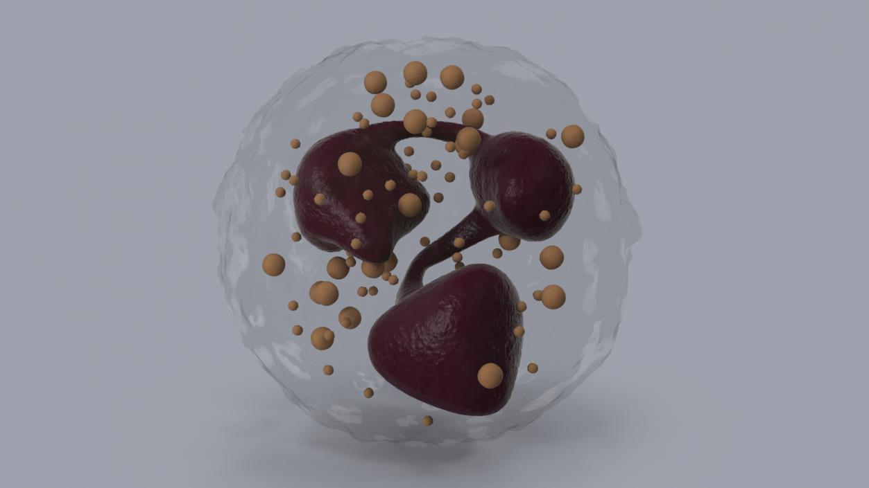 Blood Cells Collection 4 3D model