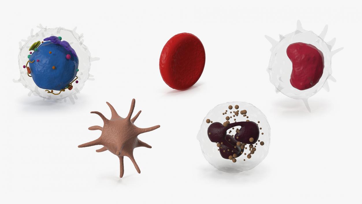 Blood Cells Collection 4 3D model