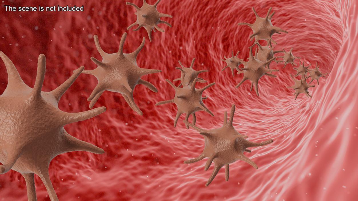 Blood Cells Collection 4 3D model