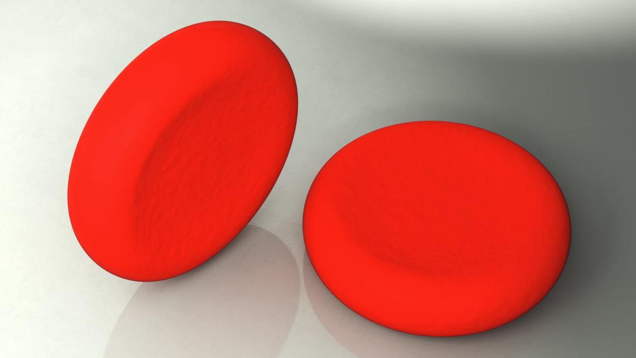 Blood Cells Collection 4 3D model