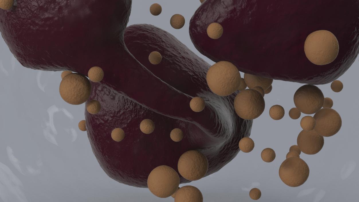 Blood Cells Collection 4 3D model