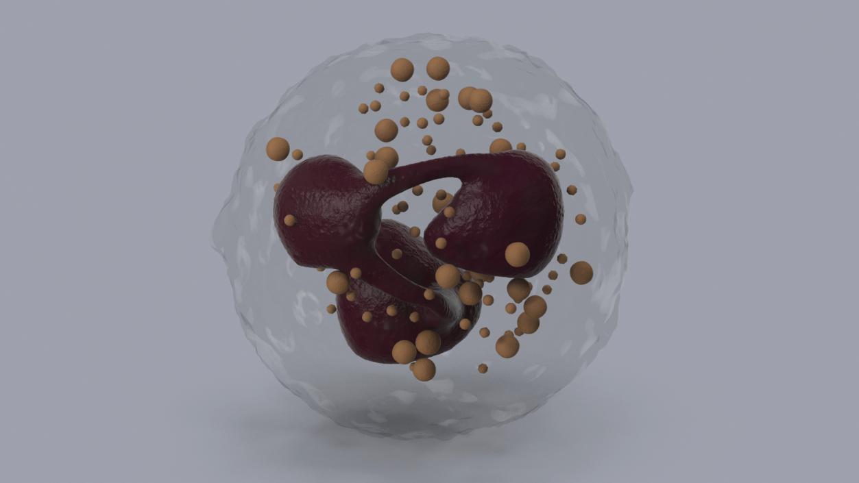 Blood Cells Collection 4 3D model