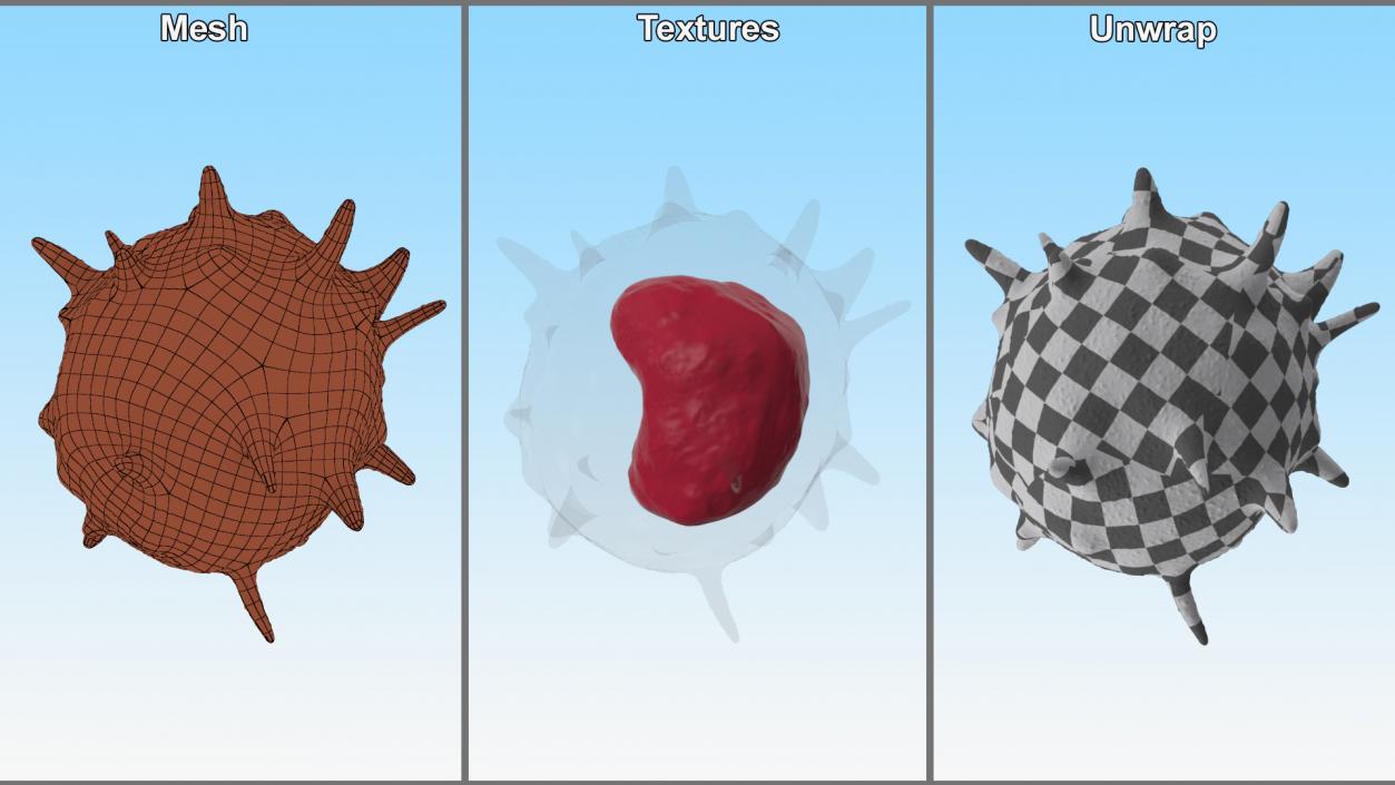 Blood Cells Collection 4 3D model