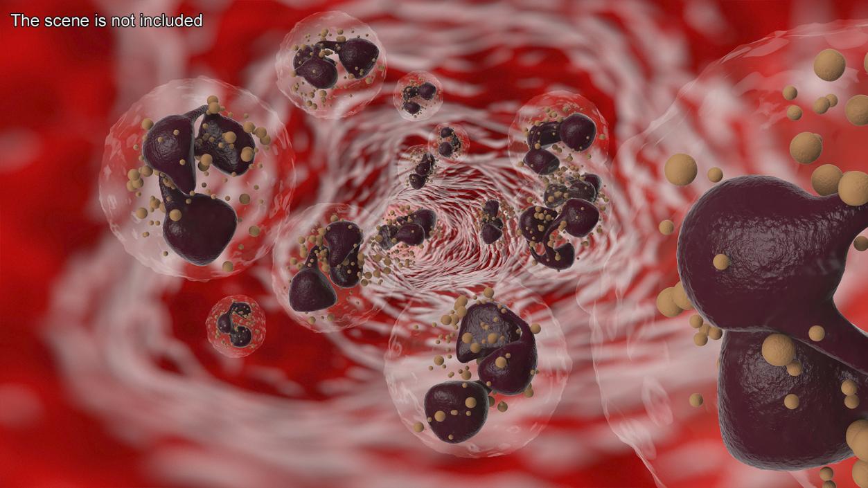 Blood Cells Collection 4 3D model