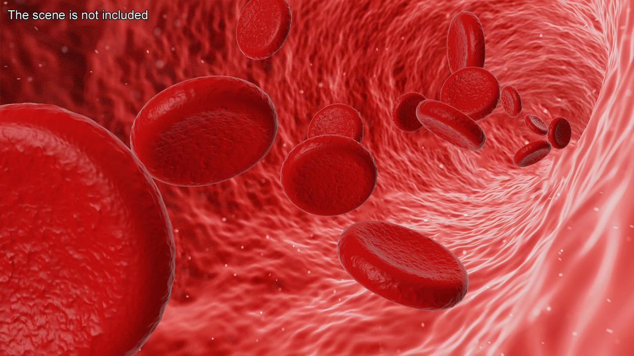 Blood Cells Collection 4 3D model