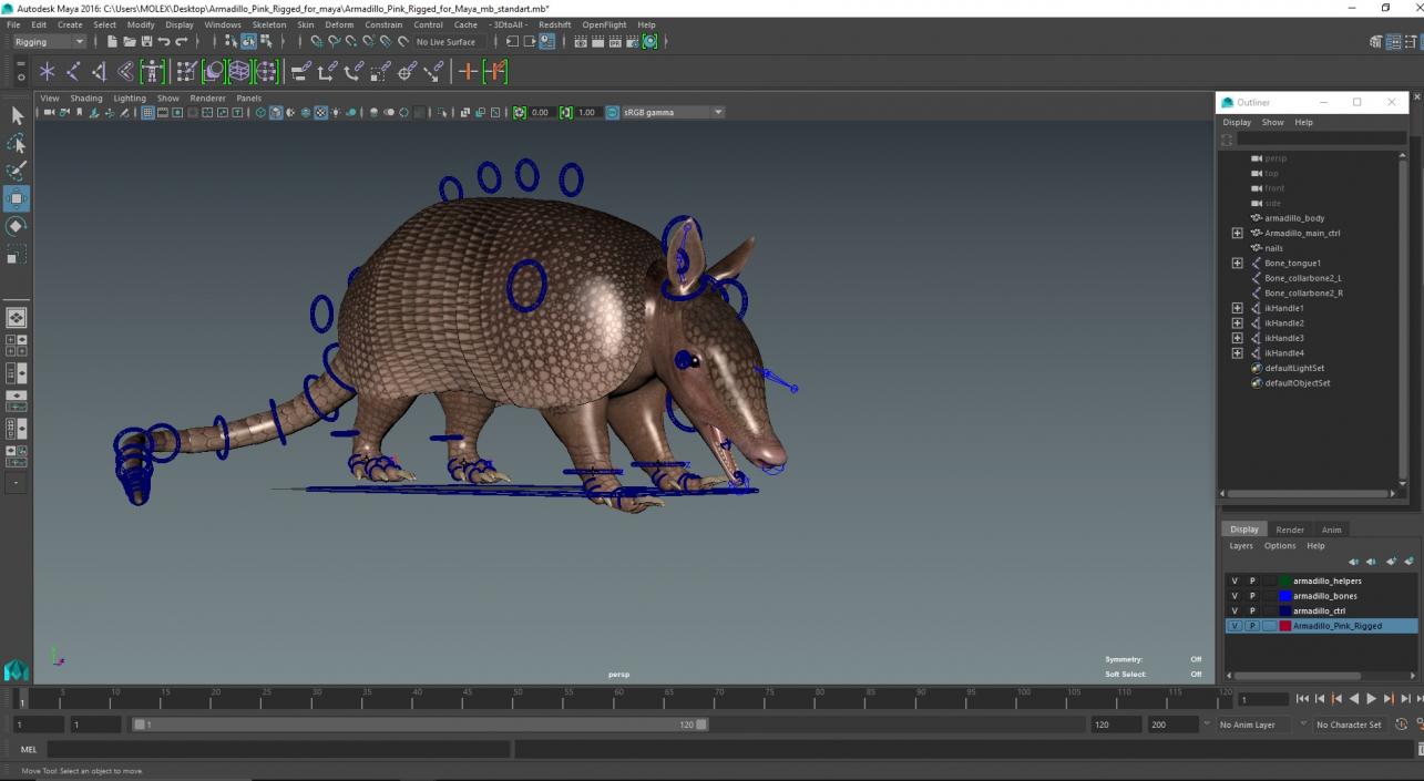 3D model Armadillo Pink Rigged for Maya